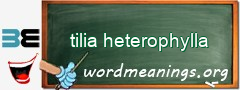 WordMeaning blackboard for tilia heterophylla